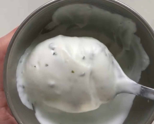 Salsa de yogurt fit